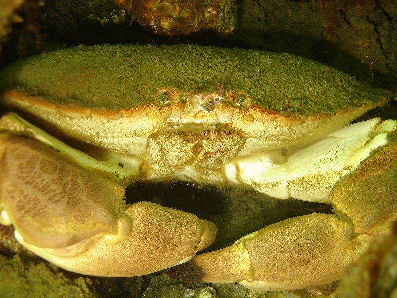 2012-07-07 15-25-13 Ludo.JPG